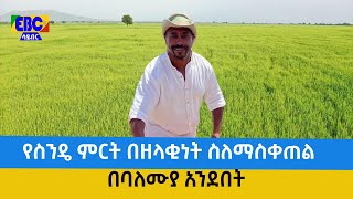 የስንዴ ምርት በዘላቂነት ለማስቀጠል  Etv | Ethiopia | News