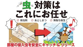 家に侵入した虫。触らず捕獲し、そのまま外に逃がせる！虫苦手の秘密兵器／虫にが~す