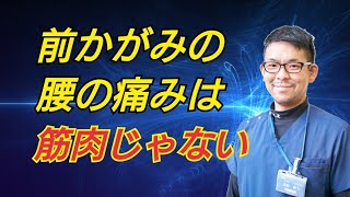 【腰痛原因】筋肉じゃない前かがみで腰が痛い場合の対処法