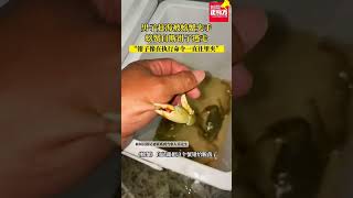 男子趕海被螃蟹夾手，螃蟹自斷鉗子逃走#神奇動物在抖音 #螃蟹#真實事件 #奇聞趣事 #新聞 #shorts