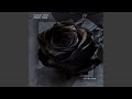 Black Rose