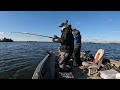 fall muskies on eagle lake