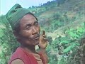 the fragile mountain 1982 nepalese people and ecogical problems