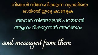 അവരുടെ പേര് മനസ്സിൽ പറഞ്ഞു ഇതു കാണുക 🌹അവർ നിങ്ങളോട് ഇതു പറയാൻ ആഗ്രഹിക്കുന്നു #malayalam-tarot #tarot