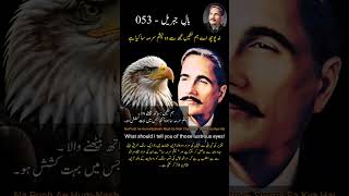 Khudi Ko Kar Buland Itna | Khuda Bande Se Khud Puche | Bal-e-Jibril 053 #allamaiqbal #iqbaliyat