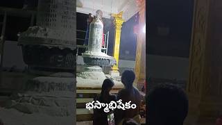 భస్మాబిషేకం #మహారుద్ర#మహాశివరాత్రి#trending