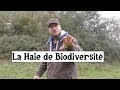 La Haie mellifère, fourragère, comestible, protectrice et riche en biodiversité.