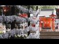 shinto shrine in japan 4k ultra hd 霧島神宮／鹿児島