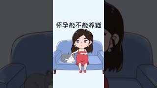 怀孕不能养猫？注意这几点完全没问题。［猫咪知识］有猫真好