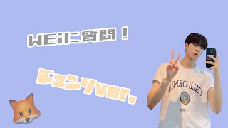 WEiに質問！ジュンソver.【日本語字幕】