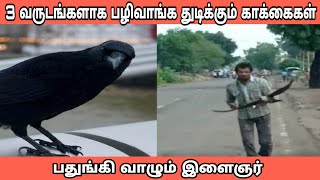 3 வருடங்களாக விடாமல் பழிவாங்க துரத்தும் காக்கைகள் பதுங்கி வாழும் இளைஞர்