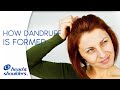 The science of scalp health and beautiful hair by Head & Shoulders The science of scalp health and beautiful hair by Head & Shoulders