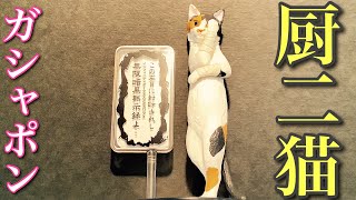 【ガシャポン】厨二猫 回してきました❗️