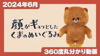 【2024年6月発売】顔がギュッとしたくまのぬいぐるみ＜発売店舗情報は概要欄をチェック＞