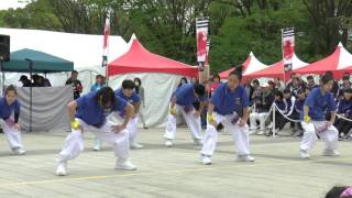 第3回東京舞祭「春」　富田よさこいクラブさん　＜よさこい＞