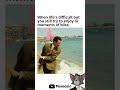 Wholesome Memes To Brighten Your Day | Funny Memes Compilation | Memes | #shorts