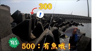 整齊肉粽區海釣,魚還真不少!