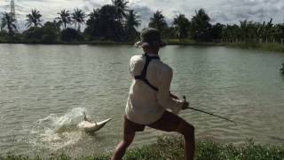 Alligator gar fishing 　PART1