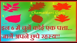 इन 6 में चुनें कोई एक पत्ता...जानें अपने छुपे रहस्य स्वभाव ,व्यक्तित्व || CHAMATKARI GYAN