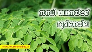 സന്ധി വേദനയ്ക്ക് മുരിങ്ങയില/Malayalam Health tips