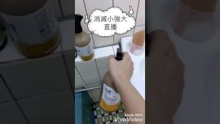 ~*消滅小強必備武器*~還在用藍白拖嗎？你應該要擁有更好的法寶-清檜天然防蟑螂螞蟻噴劑