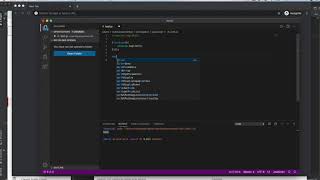 Self Invoking Function Javascript example