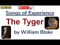 The Tyger by William Blake - Summary and Line by Line Explanation in Hindi