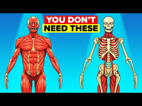 Which organs do humans not need?