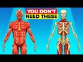 Body Parts Humans Don't Actually Need Anymore