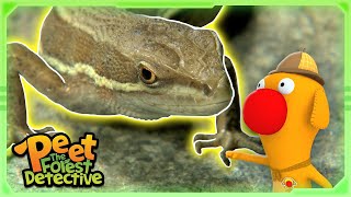 Giant Lizards Dropping Their Tails?! | Animal Stories For Kids | Peet The Forest Detective