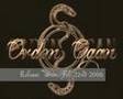 ORDEN OGAN - to new shores of sadness - NEW RECORD 