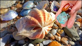 I came across some strange sea snails when I was catching seafood. Open them up and look for pearls