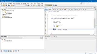 Netbeans Variables and data types