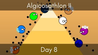 Algicosathlon II Day 8 - Sticky Pyramids?!
