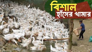 পাহাড়ের ছোট গ্রামে বিশাল সমন্বিত খামারে সফল নারী উদ্দোক্তার অনুপ্রেরণা