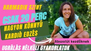 CSAK 20 PERC! Kezdő kardió edzés ugrálás és futás nélkül (3. szint)