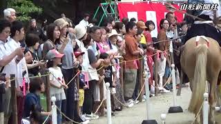 馬上の妙技に歓声　寒河江八幡宮で流鏑馬