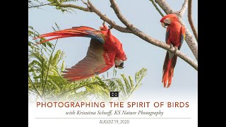 Photographing the Spirit of Birds with Krisztina Scheeff