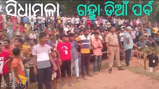 ଗହ୍ମା ଡିଆଁ ପର୍ବ//ସିଧାମଳା @s_sarojakumar7270