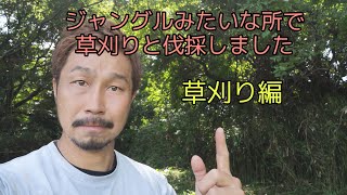 ジャングルみたいな所を草刈と伐採しました　笑福庭園