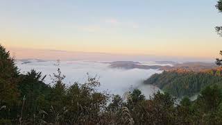 岡山 備中松山城