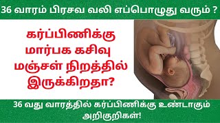 36 Weeks Preganacy Symptoms in Tamil | 36 week pregnancy in tamil | 36 week pregnancy