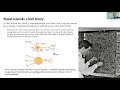 Lesson 1 - Deep Learning for Coders (2020)