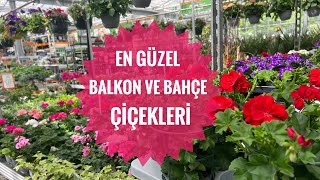 Bahçe ve Balkon Çiçekleri / OBİ Bahçe Dünyası