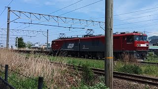 【2022/05/06･GW期間中の東北本線を走る貨物列車】3054ﾚ(札幌タ→隅田川･EH500-75牽引)