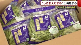 ブランド枝豆“しろねえだまめ”　ビールのお供に最適【新潟市】 (22/06/15 18:38)