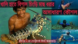 খালি হাতে বিশাল চিংড়ি মাছ ধরার অসাধারন কৌশল /  Great shrimp fishin technique with bare hands / g