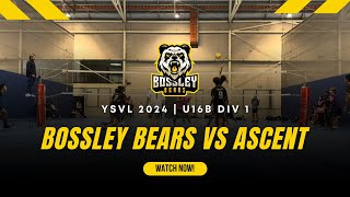 Bossley Bears vs Ascent | YSVL 2024 | U16 Boys Div 1