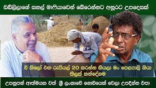 ඩඩ්ලිලාගේ සහල් මාෆියාව අවසන් කරන්නට ක්‍රම ඕනෑ තරම් තියෙනවා -  තිලක් කන්දේගම