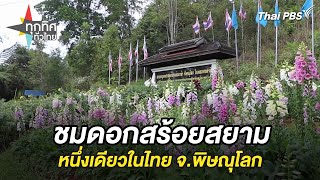 ทุกทิศทั่วไทย | 20 ธ.ค. 67